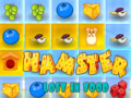 遊戲Hamster Lost In Food