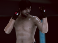 遊戲MFS: MMA Fighter