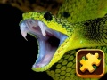 遊戲Snake Puzzle Challenge