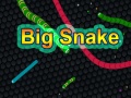 遊戲Big Snake
