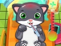 遊戲Cat Doctor