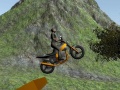 遊戲Dirt Bike Rider