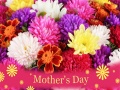 遊戲2019 Mother's Day Puzzle