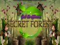 遊戲Spot The differences Secret Forest