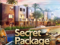 遊戲Secret Package