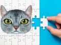 遊戲Abyssinian Puzzle Challenge