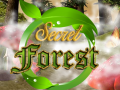 遊戲Secret Forest