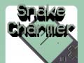 遊戲Snake Charmer