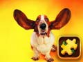 遊戲Funny Dogs Puzzle