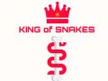 遊戲King Of Snakes