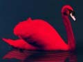 遊戲Love Birds Puzzle