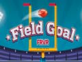 遊戲Field goal FRVR