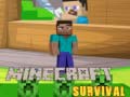 遊戲Minecraft Survival