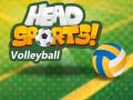 遊戲Head Sports Volleyball