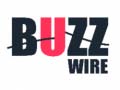 遊戲Buzz Wire