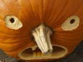 遊戲5 in 1 Picture Puzzle: Halloween
