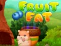 遊戲Fruit Fat
