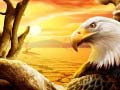 遊戲Eagle