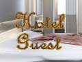 遊戲Hotel Guest