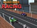 遊戲Quad Bike Racing