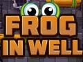 遊戲Frog In Well