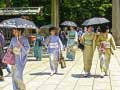 遊戲100 Butterflies in Japan