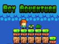 遊戲Boy Adventure