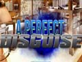 遊戲A Perfect Disguise
