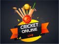 遊戲Cricket Online