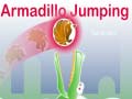 遊戲Armadillo Jumping
