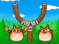 遊戲Shot The Angry Cat