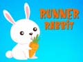 遊戲Runner Rabbit