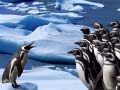遊戲Penguins Slide