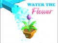 遊戲Water The Flower