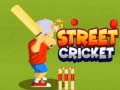 遊戲Street Cricket