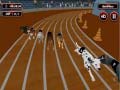 遊戲Crazyl Dog Racing Fever