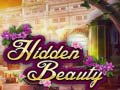 遊戲Hidden Beauty
