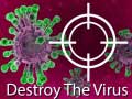 遊戲Destroy The Virus