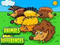 遊戲Animals Differences