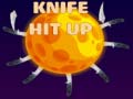 遊戲Knife Hit Up
