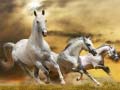 遊戲Running Horse Slide