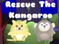 遊戲Rescue the kangaroo