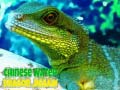 遊戲Chinese Water Dragon Jigsaw