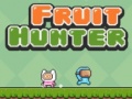 遊戲Fruit Hunter