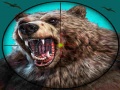 遊戲Wild Bear Hunting
