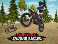 遊戲Dirt Bike Enduro Racing