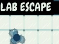 遊戲Lab Escape