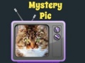 遊戲Mystery Pic