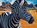 遊戲Zebra Hunter