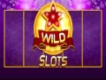 遊戲Wild Slot